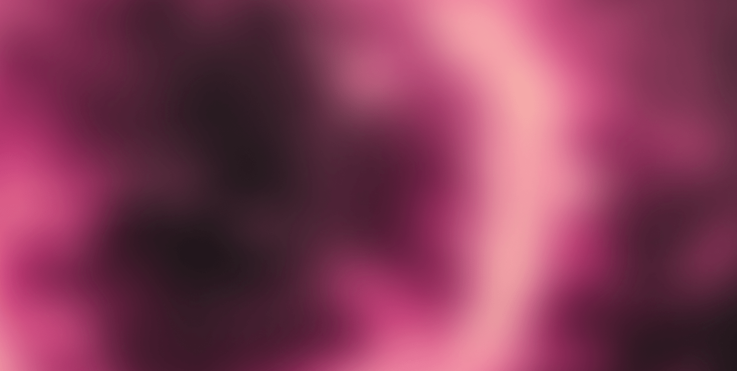 Hero Banner Carnet